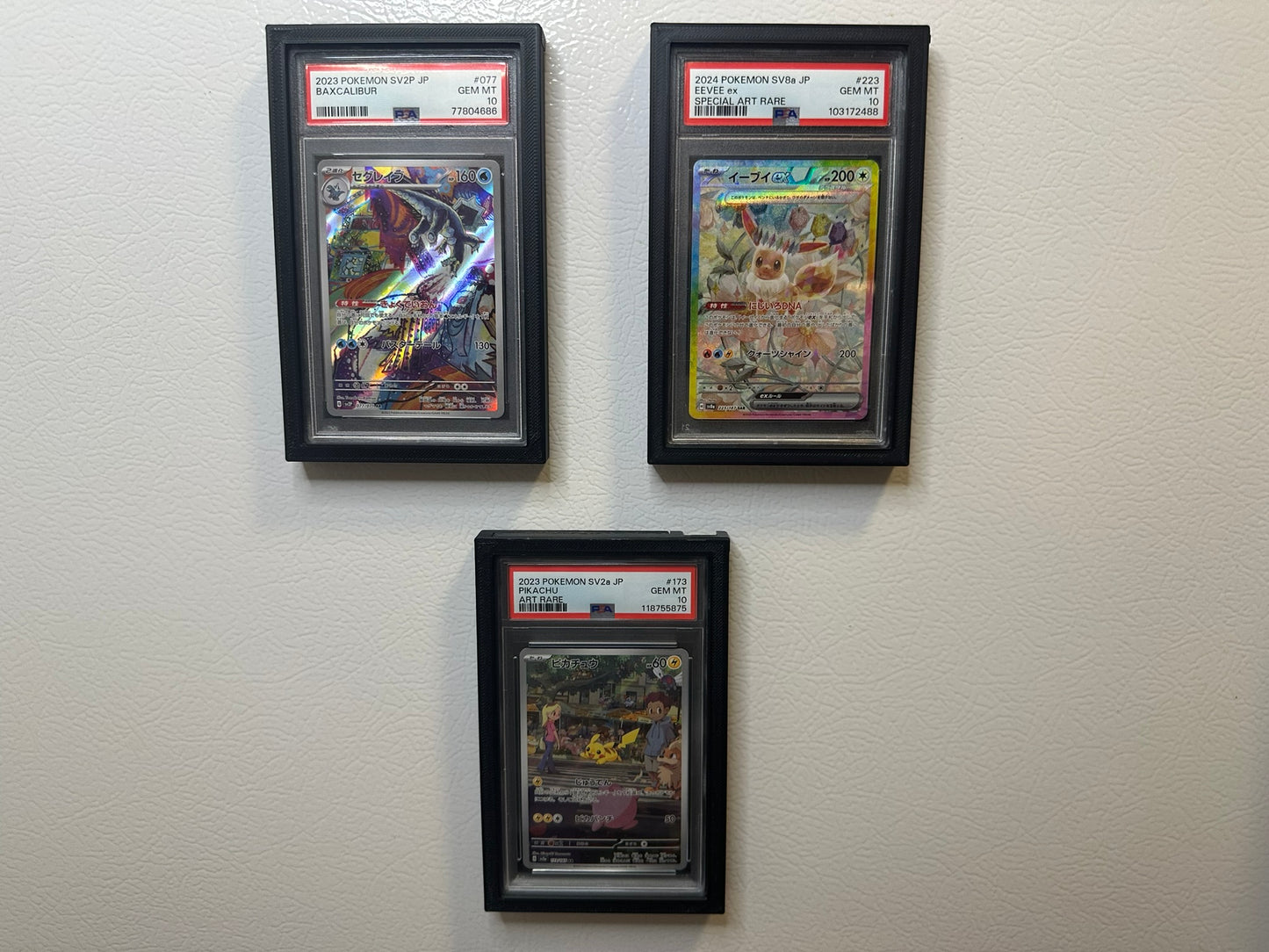 (3-Pack) ‘Fridge-Ready’ PSA Slab Holder