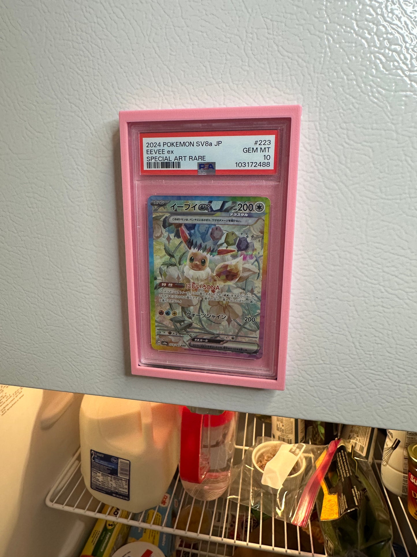 (2-Pack) ‘Fridge-Ready’ PSA Slab Holder