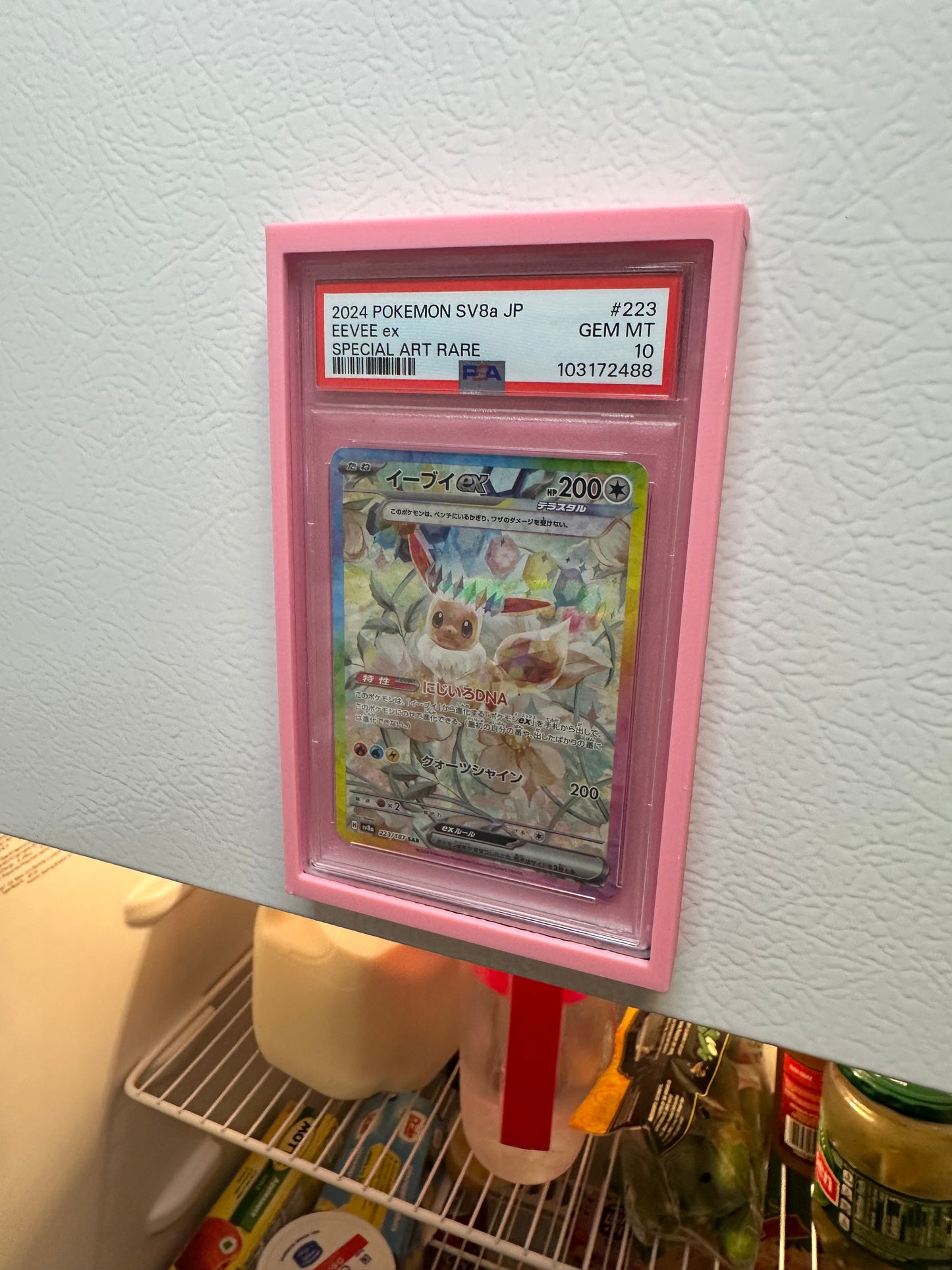 ‘Fridge-Ready’ PSA Slab Holder