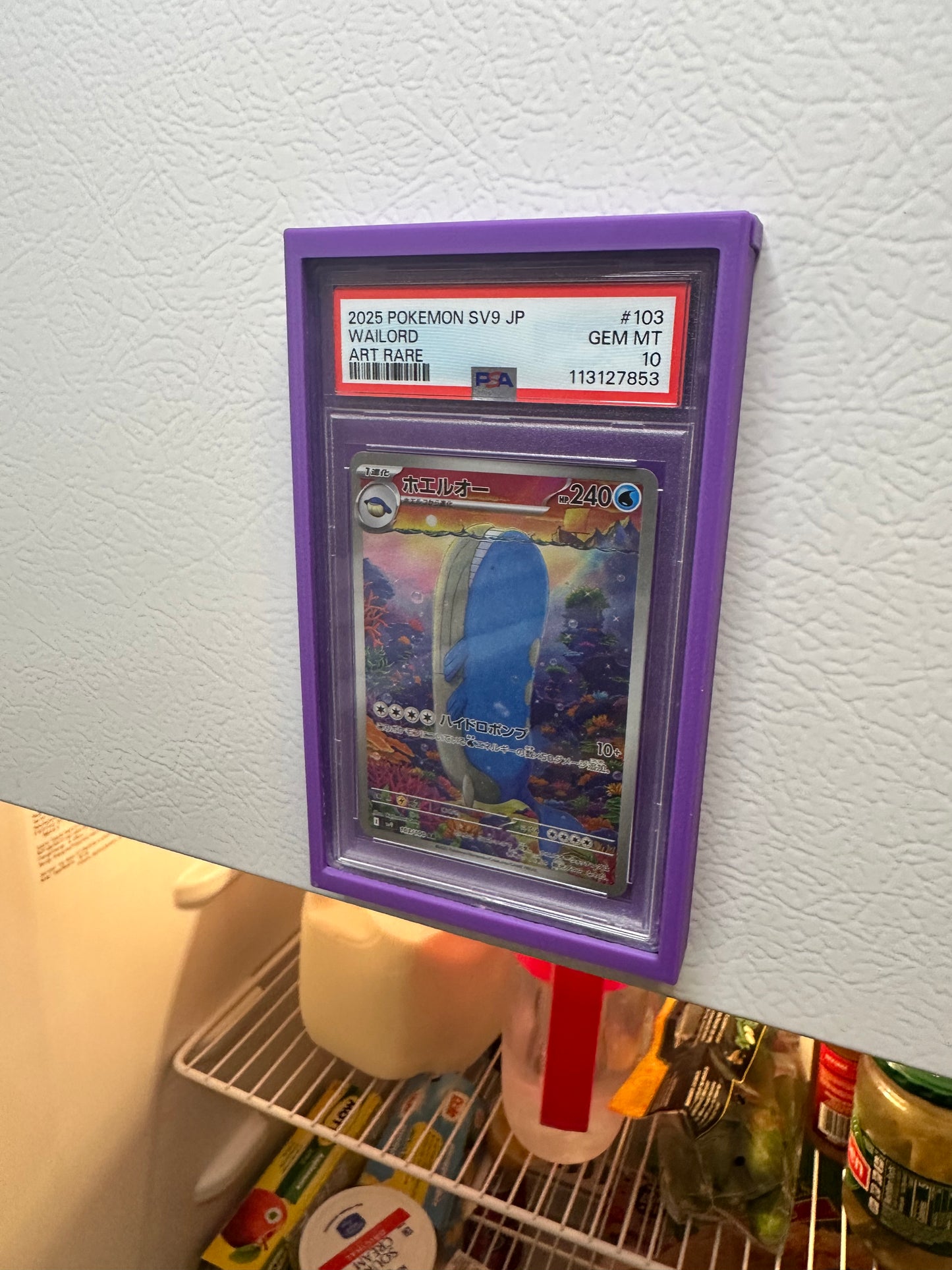 (3-Pack) ‘Fridge-Ready’ PSA Slab Holder