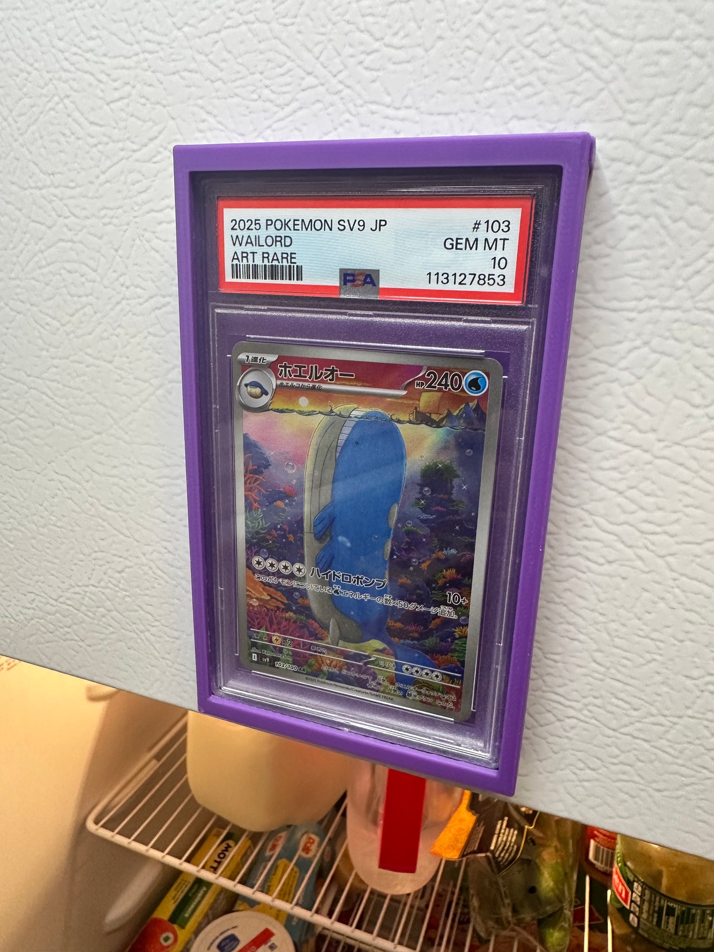 (2-Pack) ‘Fridge-Ready’ PSA Slab Holder