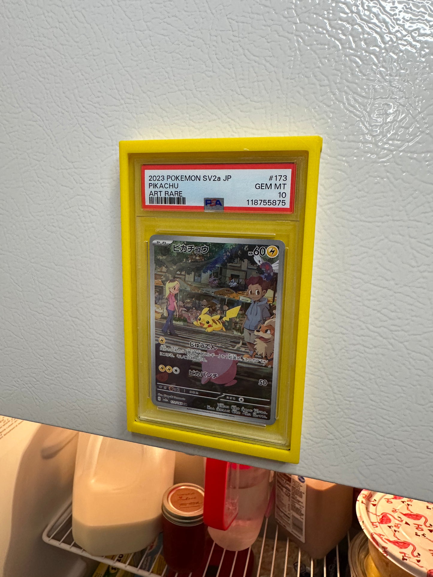 (2-Pack) ‘Fridge-Ready’ PSA Slab Holder