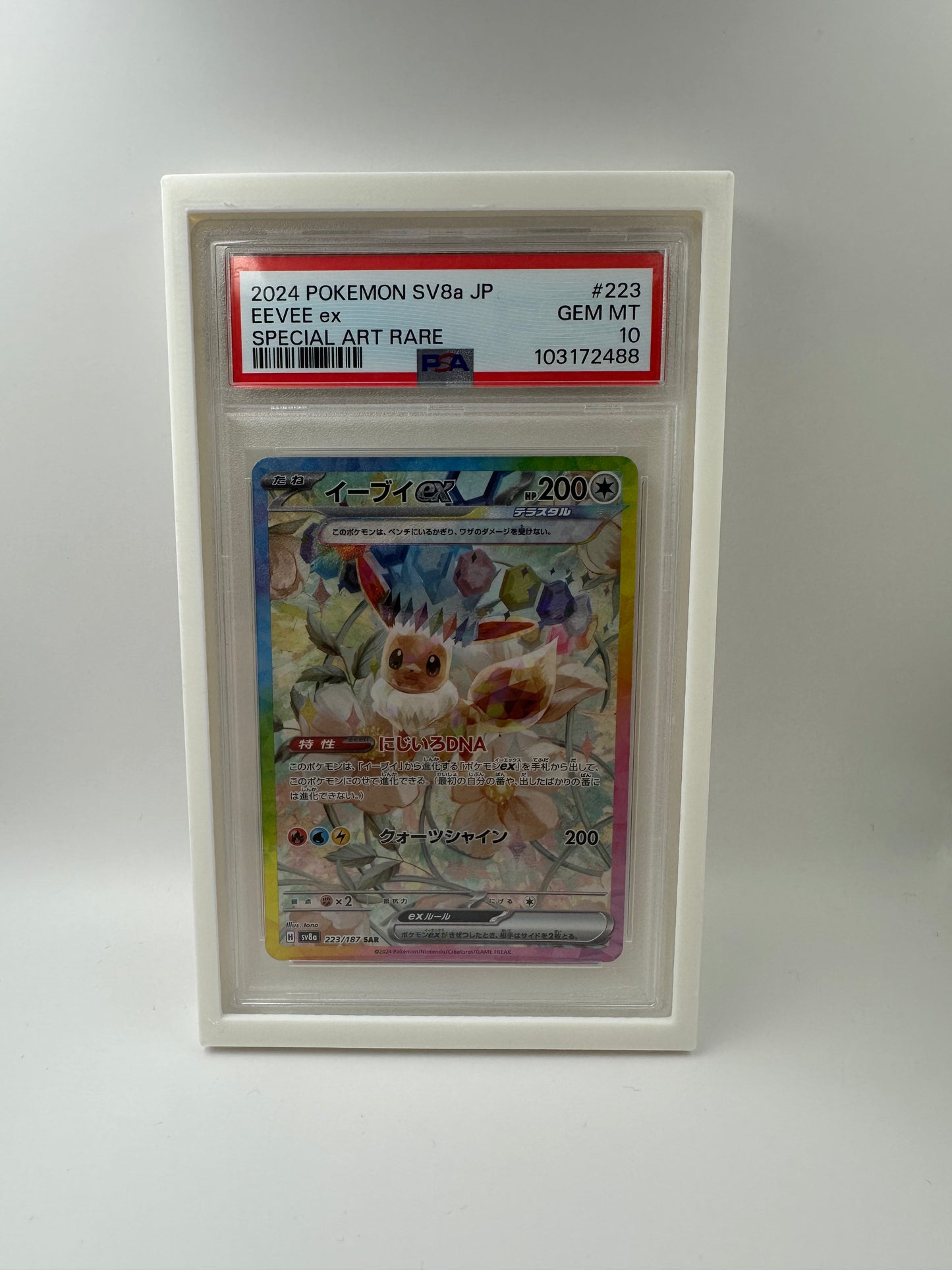 PSA Graded Card Display Case – Magnet-Backed 3-in-1 Holder (Fridge, Wall, Lanyard)